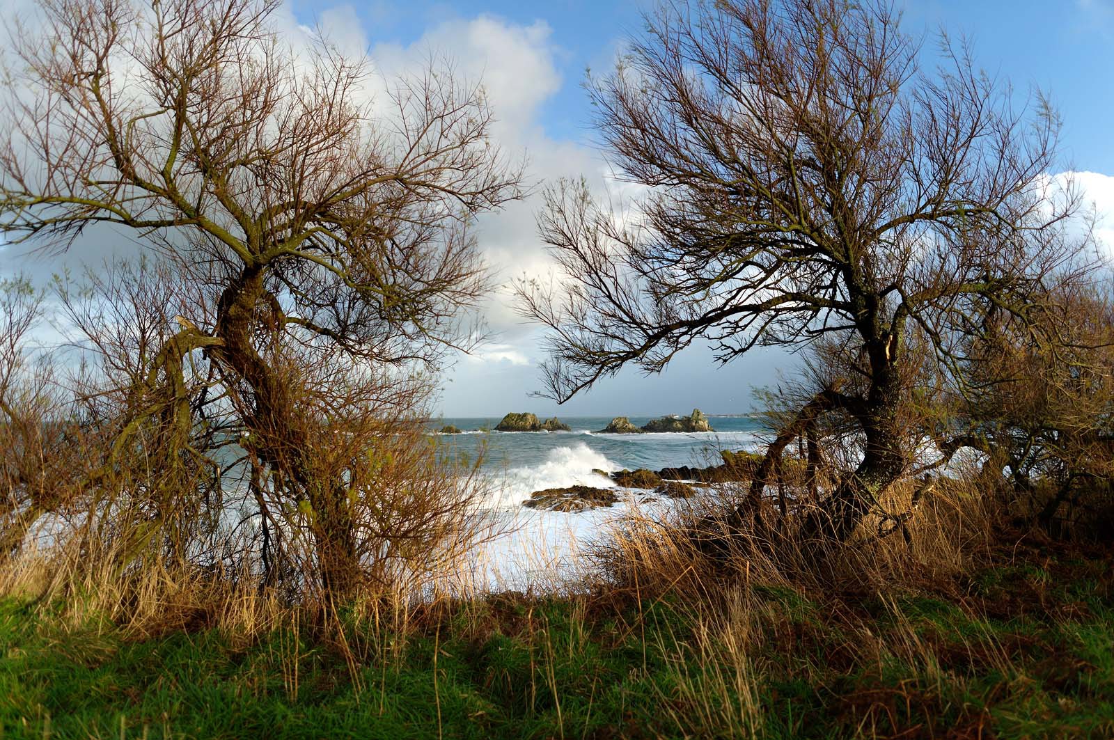 La pointe de JardeheuA l’ouest du Cotentin (Manche), la Hague est une terre de contrastes et de lumières, une région sauvage et préservée. Le mot Hague est un ancien terme dialectal normand. Il est issu du vieux norois qui signifie «enclos, terrain clos».La Hague présente un littoral varié : falaises abruptes (entre Urville-Nacqueville et Omonville-la-Rogue, et entre Auderville et Vauville), au pied desquelles se trouve une succession de baies, grandes plages (Urville-Nacqueville et à Vauville), d'îlots et platiers rocheux (cap de la Hague,pointe de Jardeheu..), des massifs dunaires (Biville), des grèves de galets (Anse Saint-Martin), des marais arrière-littoraux (Mare de Vauville) et des vallons boisés (Hubiland, Sabine…). La côte est également agrémentée de petits ports (Goury, le Houguet, Port Racine, Port du Hâble…) et de mouillages.La péninsule haguaise est principalement un pays de landes et de bocage, à l'intérieur des terres, formées de fougères, bruyères, genêts et ajoncs.