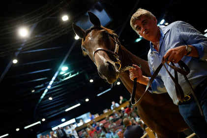 Reportages réalisés pour la rédaction Ouest-France de Caen.