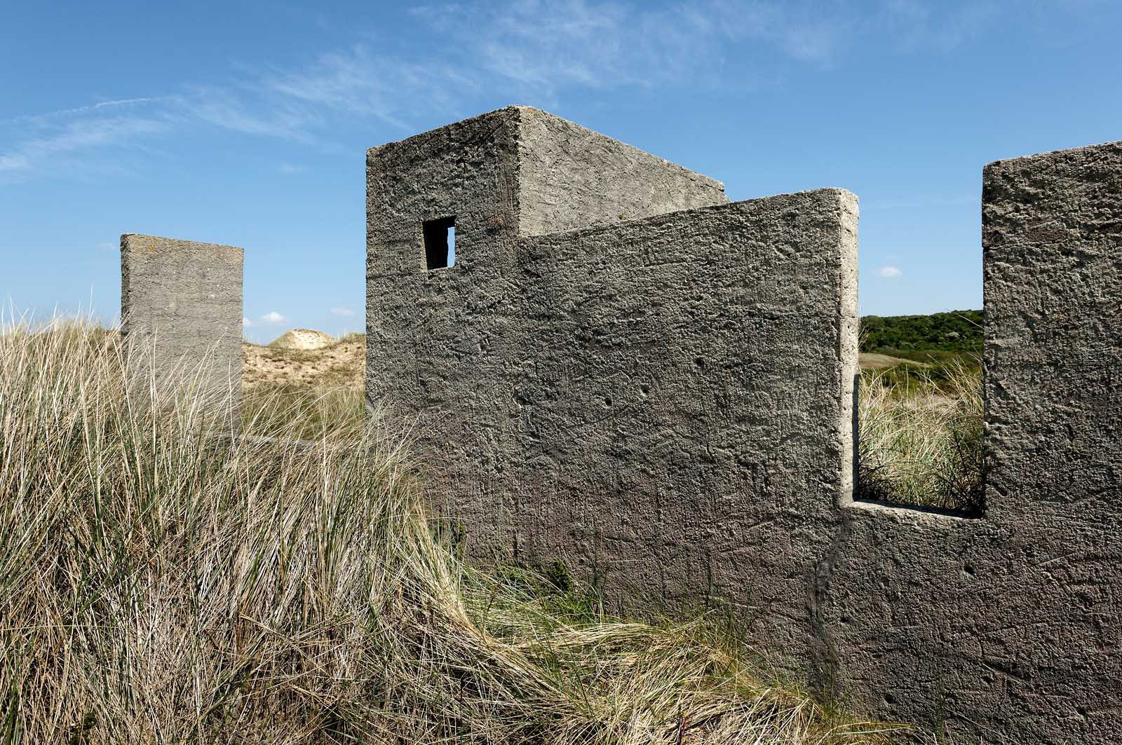 Les dunes de Biville couvrent plus de 700 hectares du littoral de la Hague (Manche), entre le cap de Flamanville et les falaises d’Herqueville. Elles constituent un massif naturel exceptionnel, tant par la qualité de ses paysages que sa richesse botanique.