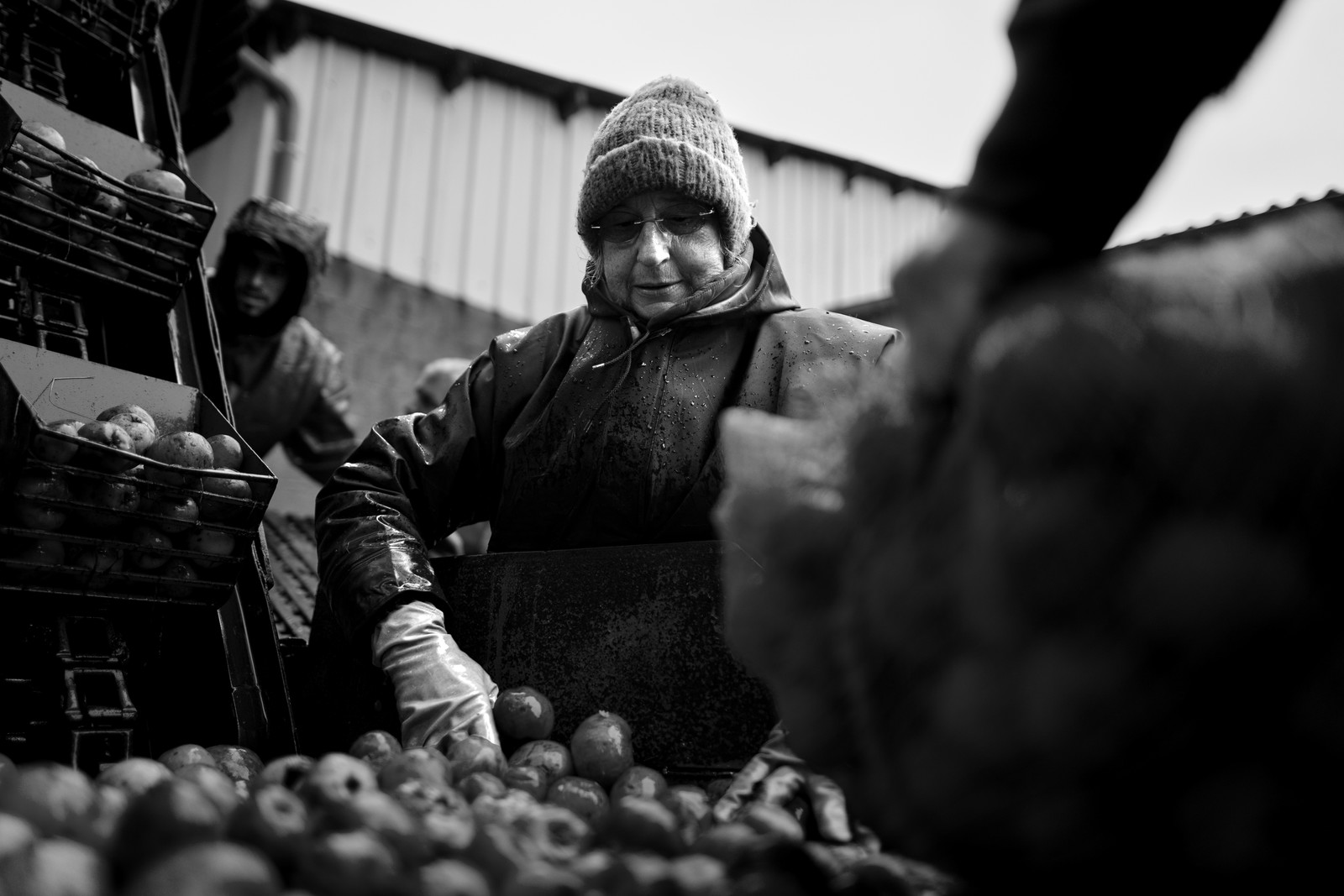 Les vergers du Clos Moulin
