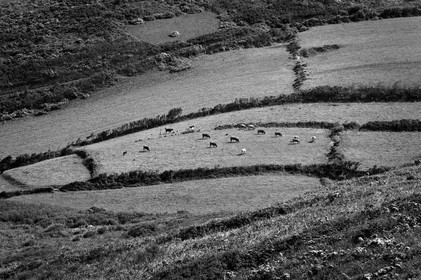 Antoine Soubigou Photographe