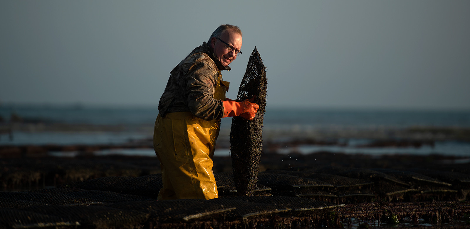 Les parcs à huîtres de Saint-Vaast-la-Hougue (Cotentin)