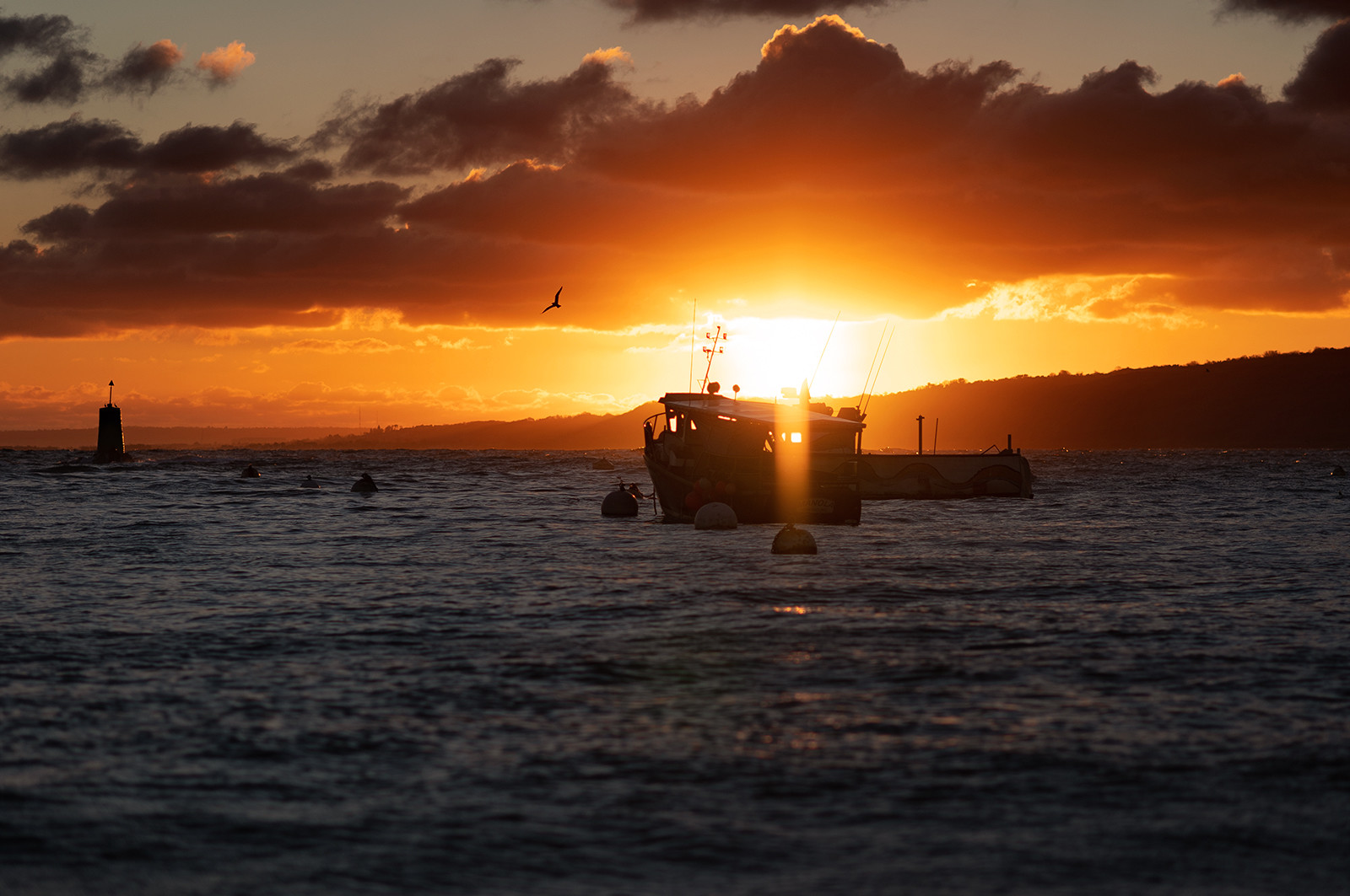 La Presqu'île du Cotentin