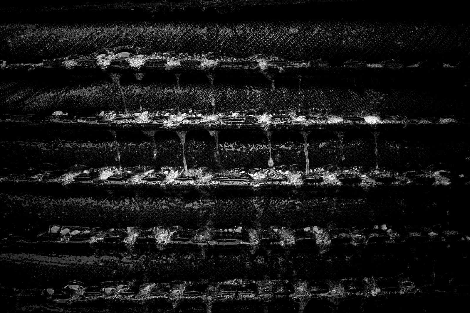 Les vergers du Clos Moulin