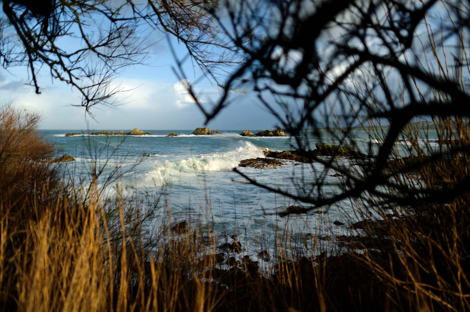La pointe de JardeheuA l’ouest du Cotentin (Manche), la Hague est une terre de contrastes et de lumières, une région sauvage et préservée. Le mot Hague est un ancien terme dialectal normand. Il est issu du vieux norois qui signifie «enclos, terrain clos».La Hague présente un littoral varié : falaises abruptes (entre Urville-Nacqueville et Omonville-la-Rogue, et entre Auderville et Vauville), au pied desquelles se trouve une succession de baies, grandes plages (Urville-Nacqueville et à Vauville), d'îlots et platiers rocheux (cap de la Hague,pointe de Jardeheu..), des massifs dunaires (Biville), des grèves de galets (Anse Saint-Martin), des marais arrière-littoraux (Mare de Vauville) et des vallons boisés (Hubiland, Sabine…). La côte est également agrémentée de petits ports (Goury, le Houguet, Port Racine, Port du Hâble…) et de mouillages.La péninsule haguaise est principalement un pays de landes et de bocage, à l'intérieur des terres, formées de fougères, bruyères, genêts et ajoncs.