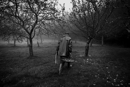 Les vergers du Clos Moulin