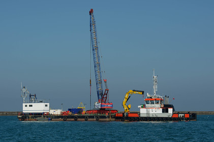 En Normandie, on teste les digues du futur pour protéger la faune et la flore marines