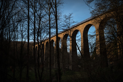 La Presqu'île du Cotentin