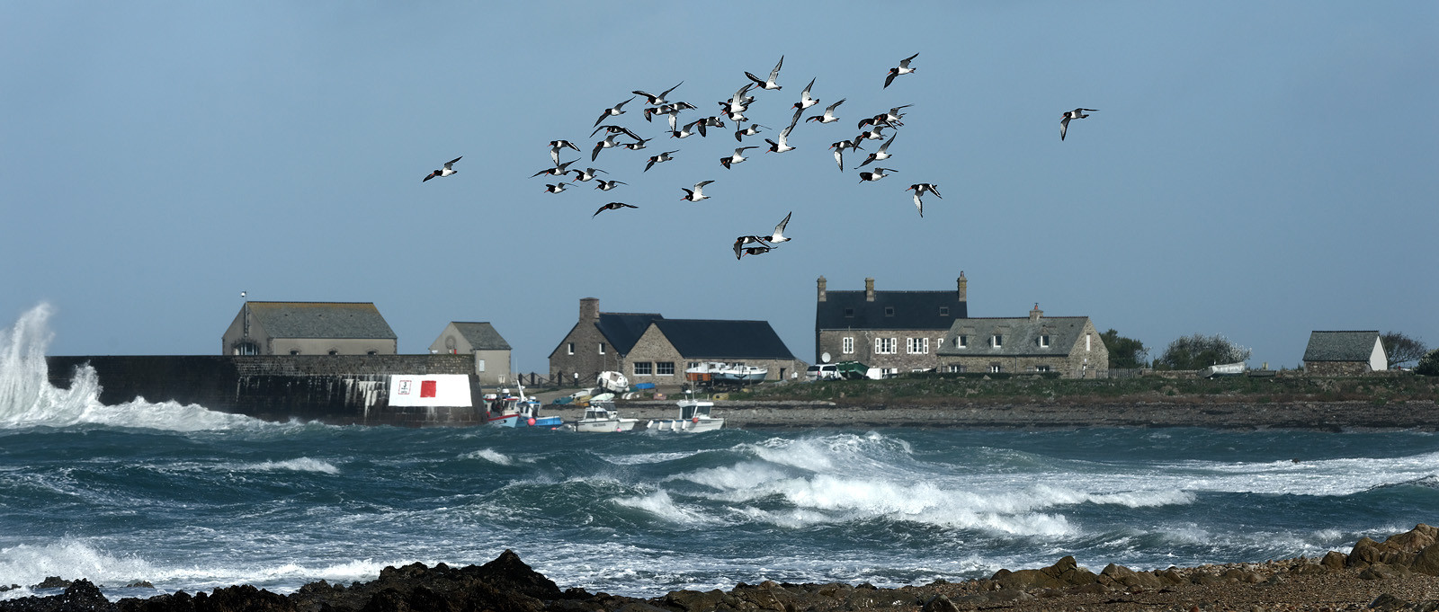Cap de la Hague (Goury)
