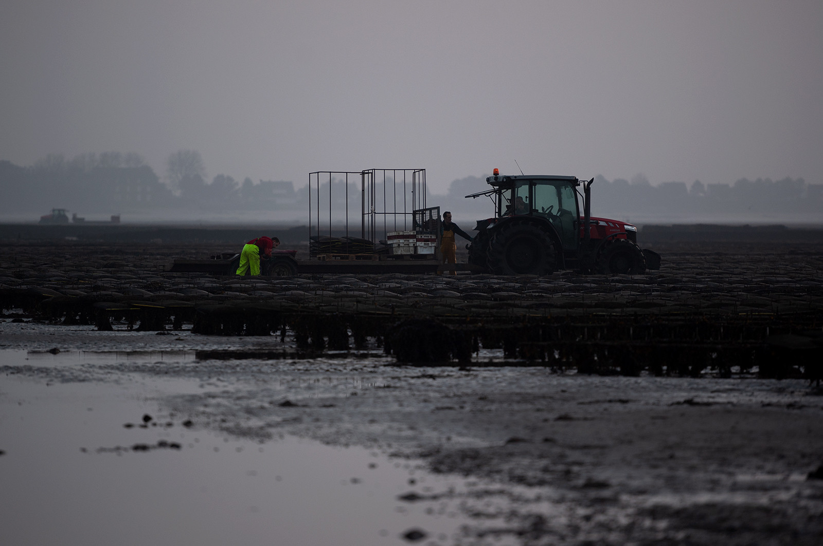 Les parcs à huîtres de Saint-Vaast-la-Hougue (Cotentin)
