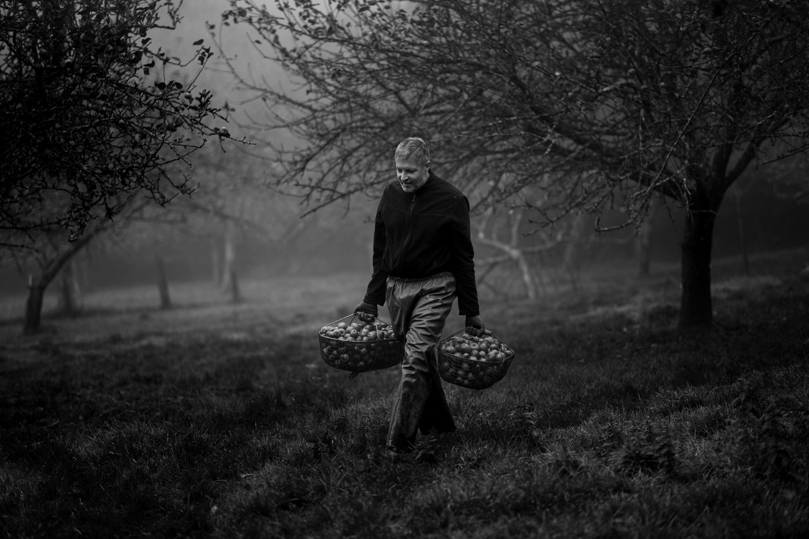 Les vergers du Clos Moulin