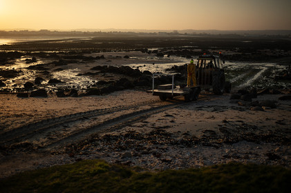 Les parcs à huîtres de Saint-Vaast-la-Hougue (Cotentin)