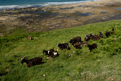 Reportage Des Racines et Des Ailes (mai 2023)