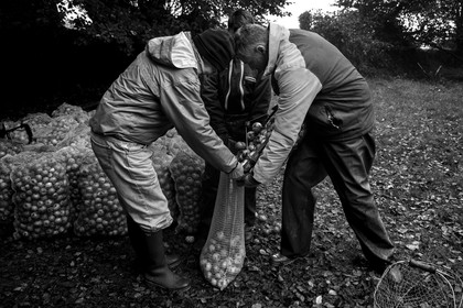 Les vergers du Clos Moulin