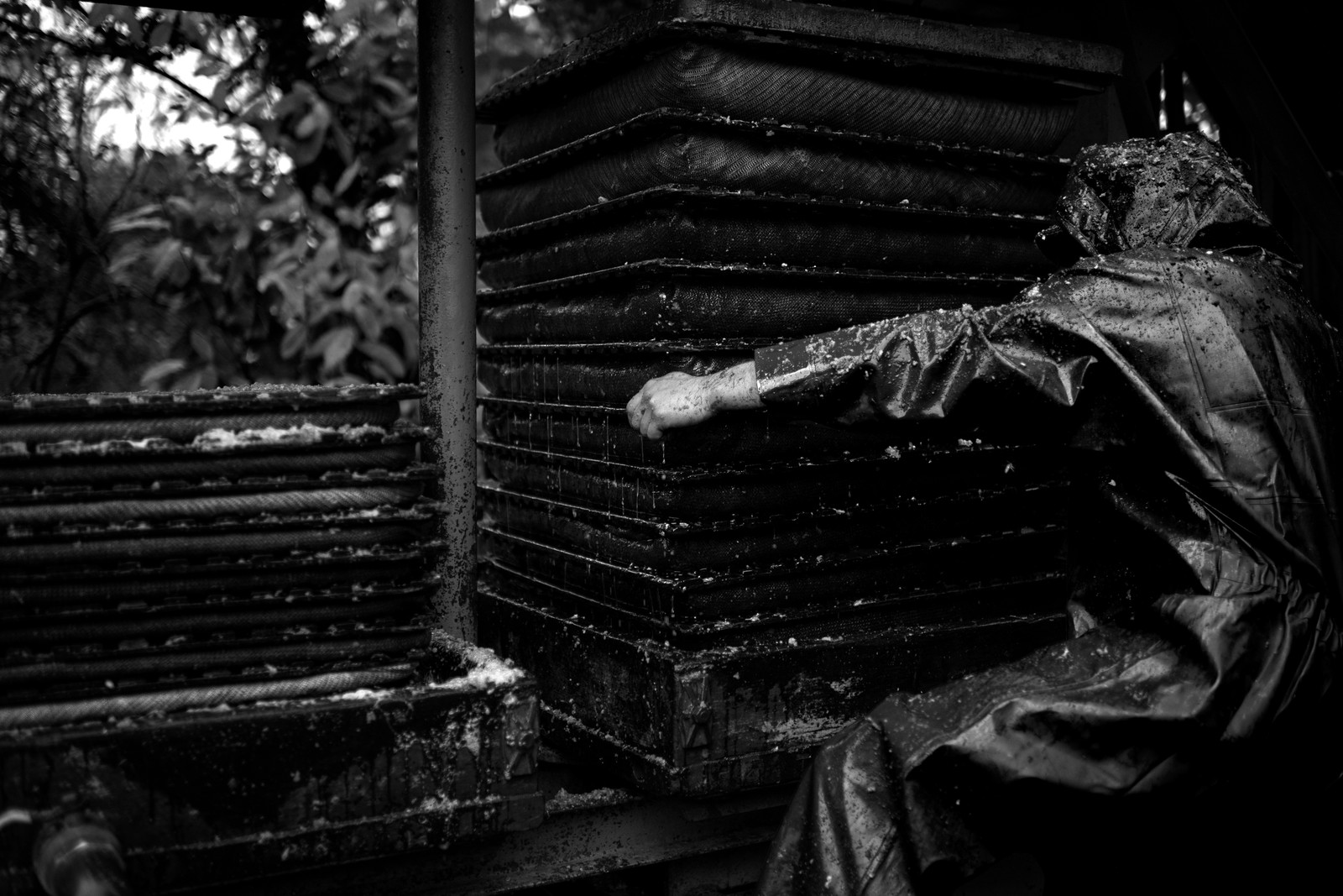 Les vergers du Clos Moulin