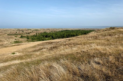 Les dunes de Biville couvrent plus de 700 hectares du littoral de la Hague (Manche), entre le cap de Flamanville et les falaises d’Herqueville. Elles constituent un massif naturel exceptionnel, tant par la qualité de ses paysages que sa richesse botanique.