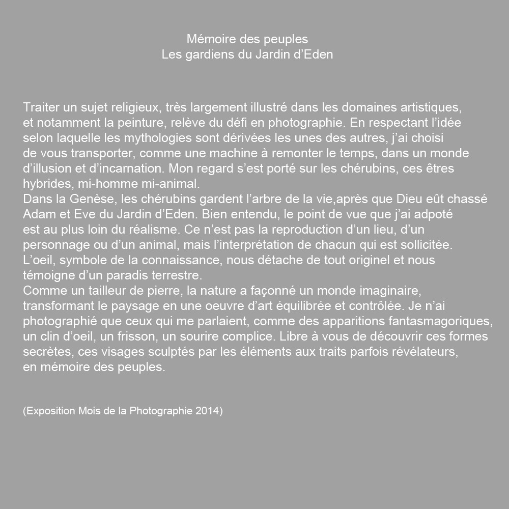 Cette exposition fût présentée lors du mois de la photographie à Equeurdreville (Cotentin) en 2014.Comme un tailleur de pierre, la nature a façonné un monde imaginaire, transformant le paysage en une oeuvre d’art équilibrée et contrôlée. Je n’ai photographié que ceux qui me parlaient, comme des apparitions fantasmagoriques, un clin d’oeil, un frisson, un sourire complice. Libre à vous de découvrir ces formes secrètes, ces visages sculptés par les éléments aux traits parfois révélateurs.
