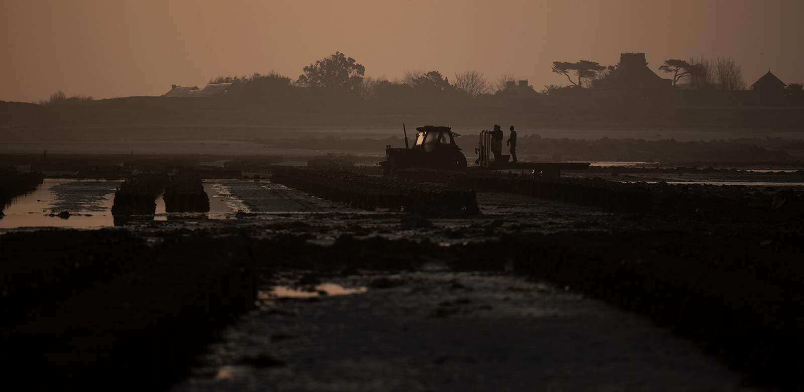 Les parcs à huîtres de Saint-Vaast-la-Hougue (Cotentin)