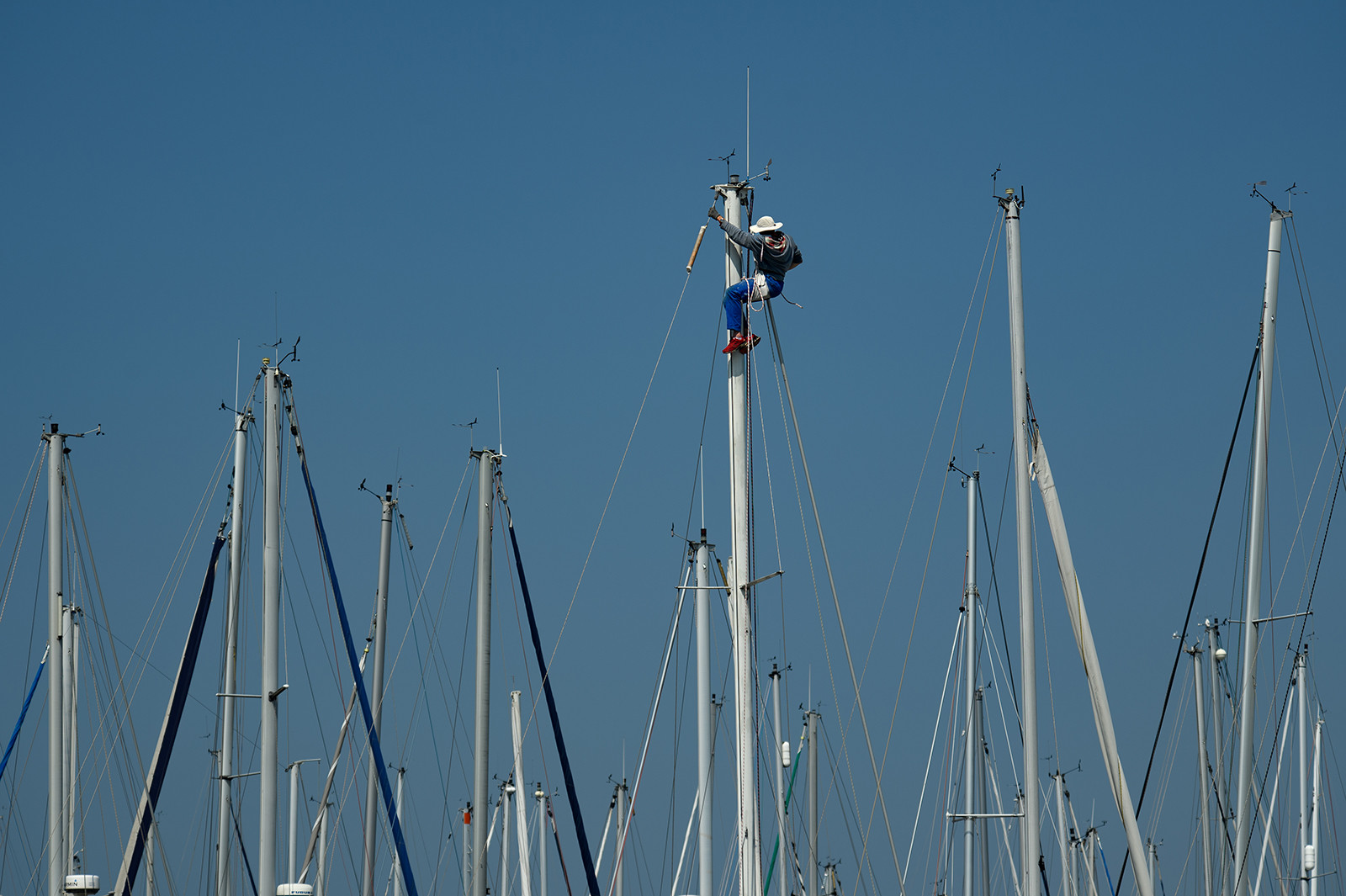 Port Chantereyne [Cherbourg-en-Cotentin Normandie]