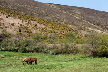 Le village de Vauville fait partie des sites classés de la Hague, Cap Cotentin. Les Pierres Pouquelées, galerie néolithique, sont un témoignage de l'Antiquité.La mare de Vauville est une réserve naturelle. Créée en 1976 c'est l'une des 135 réserves naturelles de France. Géré par le Groupe Ornithologique Normand depuis 1983, c'est un marais d'eau douce protégé de la mer par un étroit cordon dunaire. La mare de Vauville fait 62 ha, il y a plus de 150 espèces d'oiseaux ainsi que de 350 plantes et 16 espèces de batraciens.Un édifice autrefois religieux domine le village. C'est le prieuré de Vauville construit dans les landes, sur le haut d'une colline.Créé par Eric et Nicole Pellerin en 1947, l'exceptionnel jardin botanique du château de Vauville occupe plus de 40 000 m2. Abritant plus de 1000 espèces de l'hémisphère austral, le jardin entoure le château de Vauville dans une ambiance subtropicale tout à fait surprenante.
