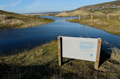 Le village de Vauville fait partie des sites classés de la Hague, Cap Cotentin. Les Pierres Pouquelées, galerie néolithique, sont un témoignage de l'Antiquité.La mare de Vauville est une réserve naturelle. Créée en 1976 c'est l'une des 135 réserves naturelles de France. Géré par le Groupe Ornithologique Normand depuis 1983, c'est un marais d'eau douce protégé de la mer par un étroit cordon dunaire. La mare de Vauville fait 62 ha, il y a plus de 150 espèces d'oiseaux ainsi que de 350 plantes et 16 espèces de batraciens.Un édifice autrefois religieux domine le village. C'est le prieuré de Vauville construit dans les landes, sur le haut d'une colline.Créé par Eric et Nicole Pellerin en 1947, l'exceptionnel jardin botanique du château de Vauville occupe plus de 40 000 m2. Abritant plus de 1000 espèces de l'hémisphère austral, le jardin entoure le château de Vauville dans une ambiance subtropicale tout à fait surprenante.
