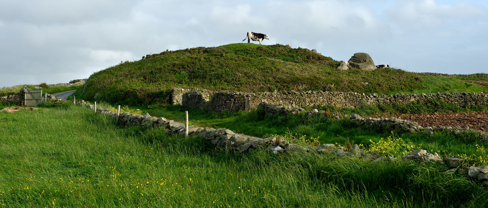 Cap de la Hague (Goury)