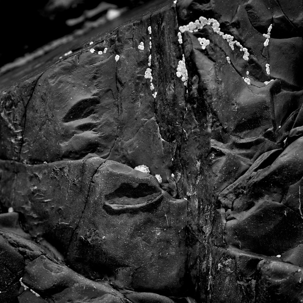 Cette exposition fût présentée lors du mois de la photographie à Equeurdreville (Cotentin) en 2014.Comme un tailleur de pierre, la nature a façonné un monde imaginaire, transformant le paysage en une oeuvre d’art équilibrée et contrôlée. Je n’ai photographié que ceux qui me parlaient, comme des apparitions fantasmagoriques, un clin d’oeil, un frisson, un sourire complice. Libre à vous de découvrir ces formes secrètes, ces visages sculptés par les éléments aux traits parfois révélateurs.