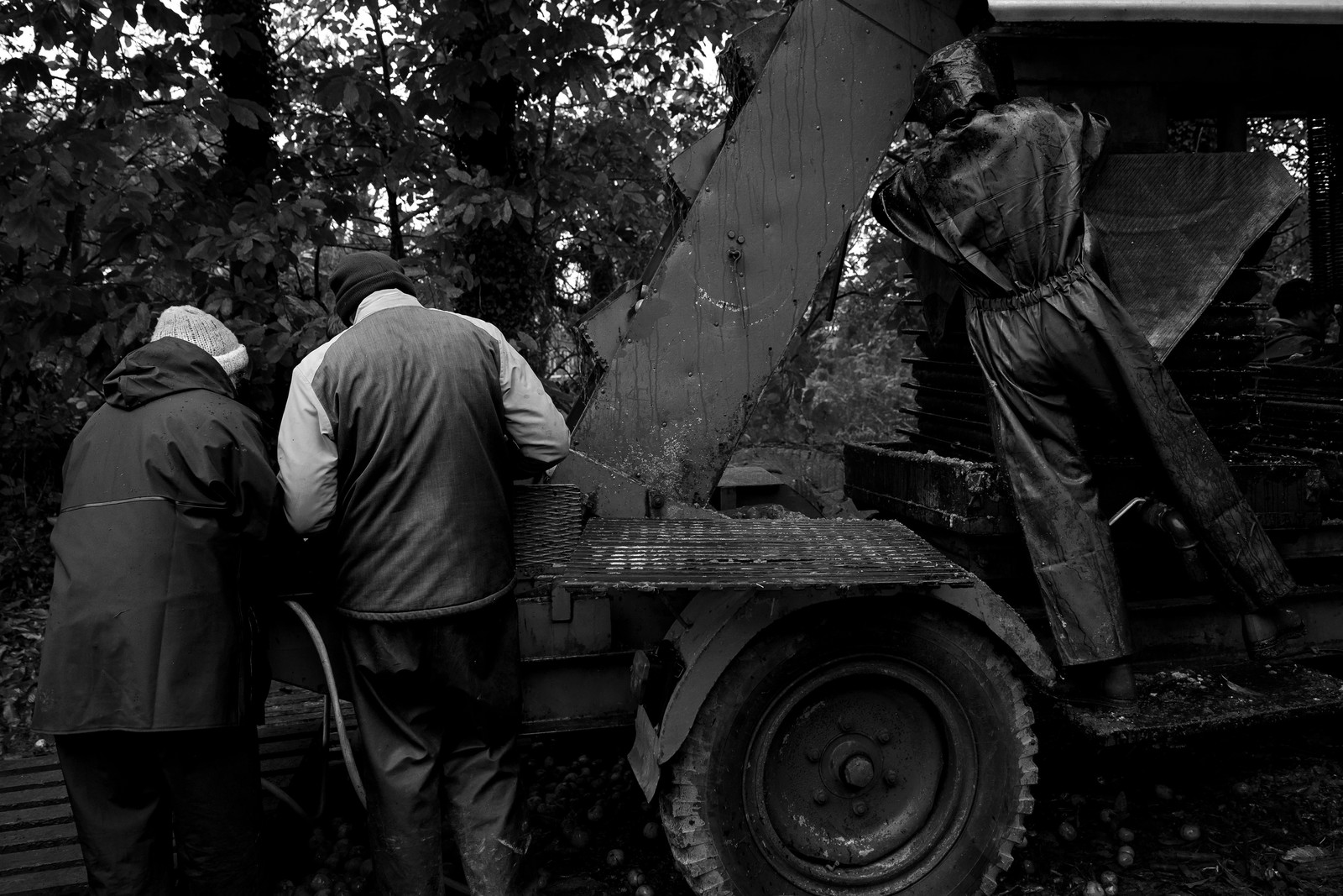 Les vergers du Clos Moulin