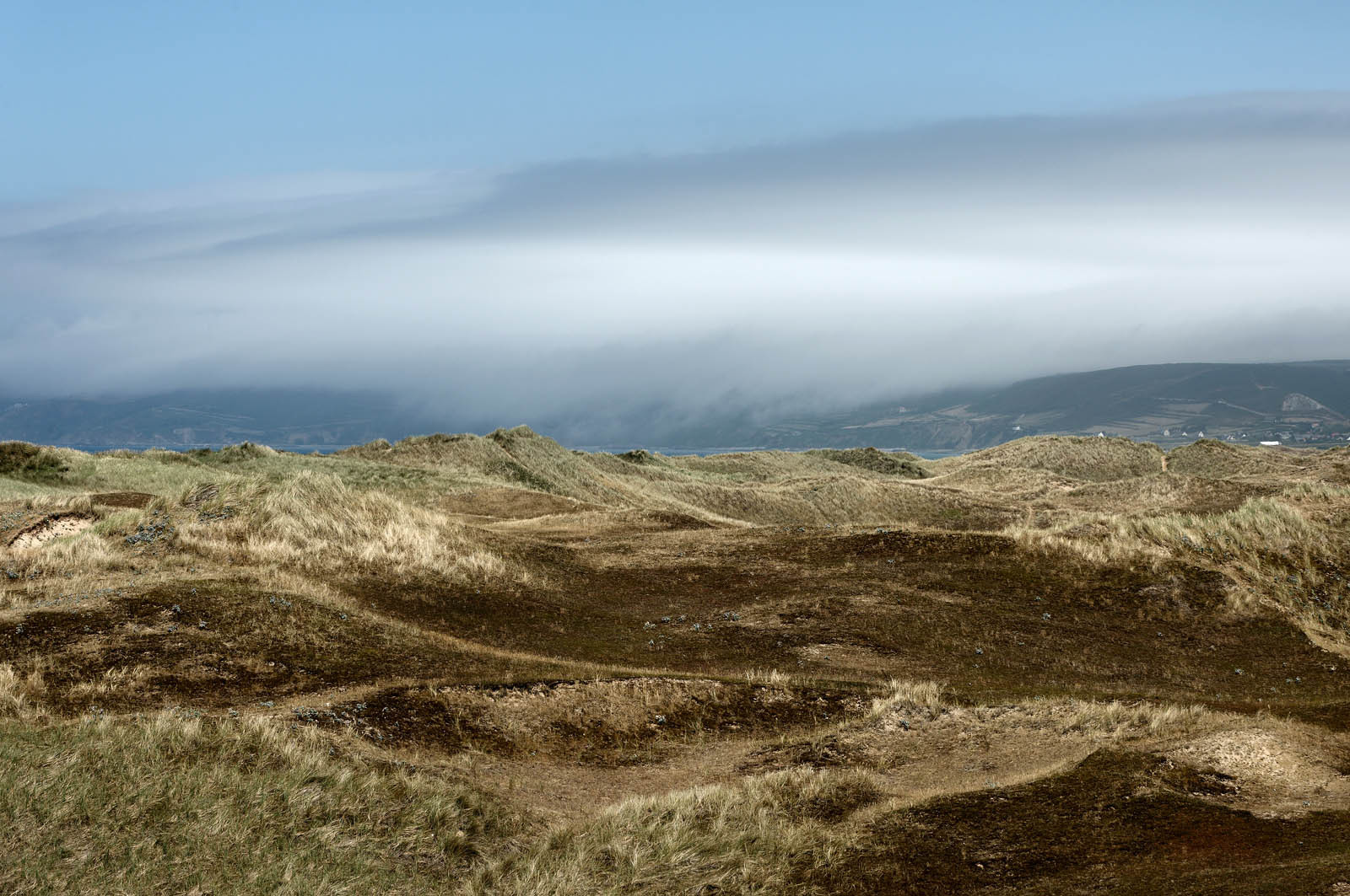 Les dunes de Biville couvrent plus de 700 hectares du littoral de la Hague (Manche), entre le cap de Flamanville et les falaises d’Herqueville. Elles constituent un massif naturel exceptionnel, tant par la qualité de ses paysages que sa richesse botanique.
