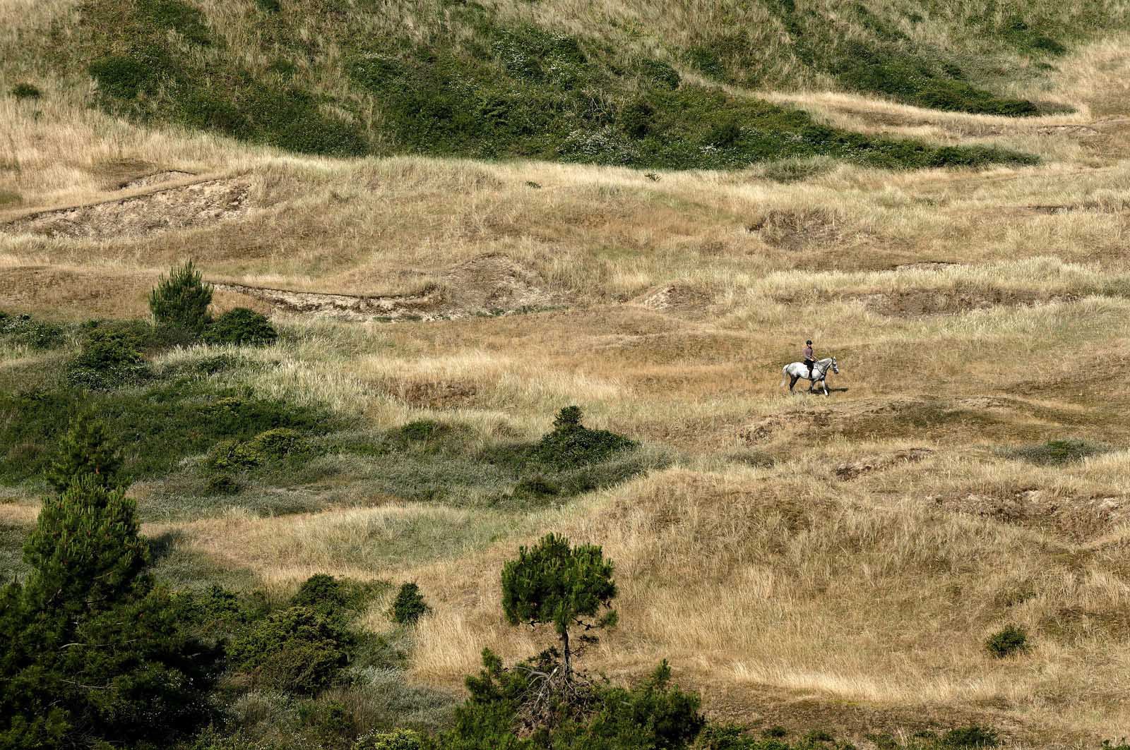 Les dunes de Biville couvrent plus de 700 hectares du littoral de la Hague (Manche), entre le cap de Flamanville et les falaises d’Herqueville. Elles constituent un massif naturel exceptionnel, tant par la qualité de ses paysages que sa richesse botanique.