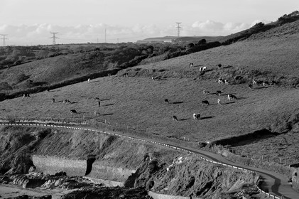 Antoine Soubigou Photographe