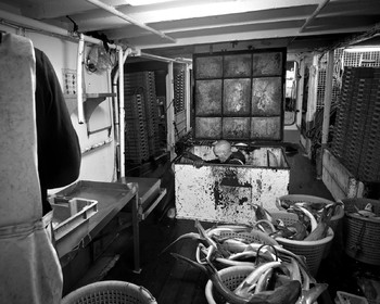 Antoine Soubigou Photographe