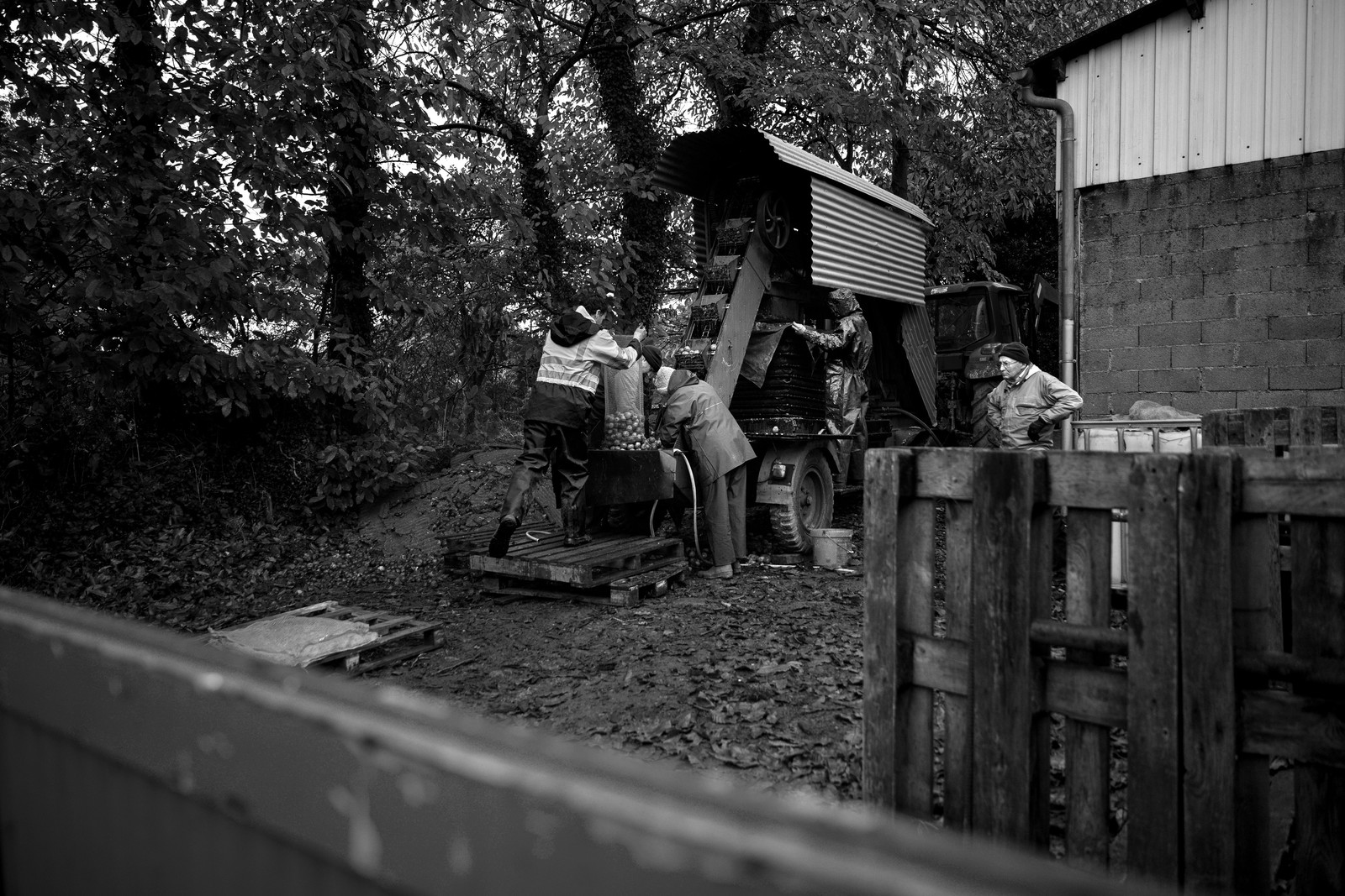 Les vergers du Clos Moulin