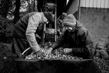 Les vergers du Clos Moulin