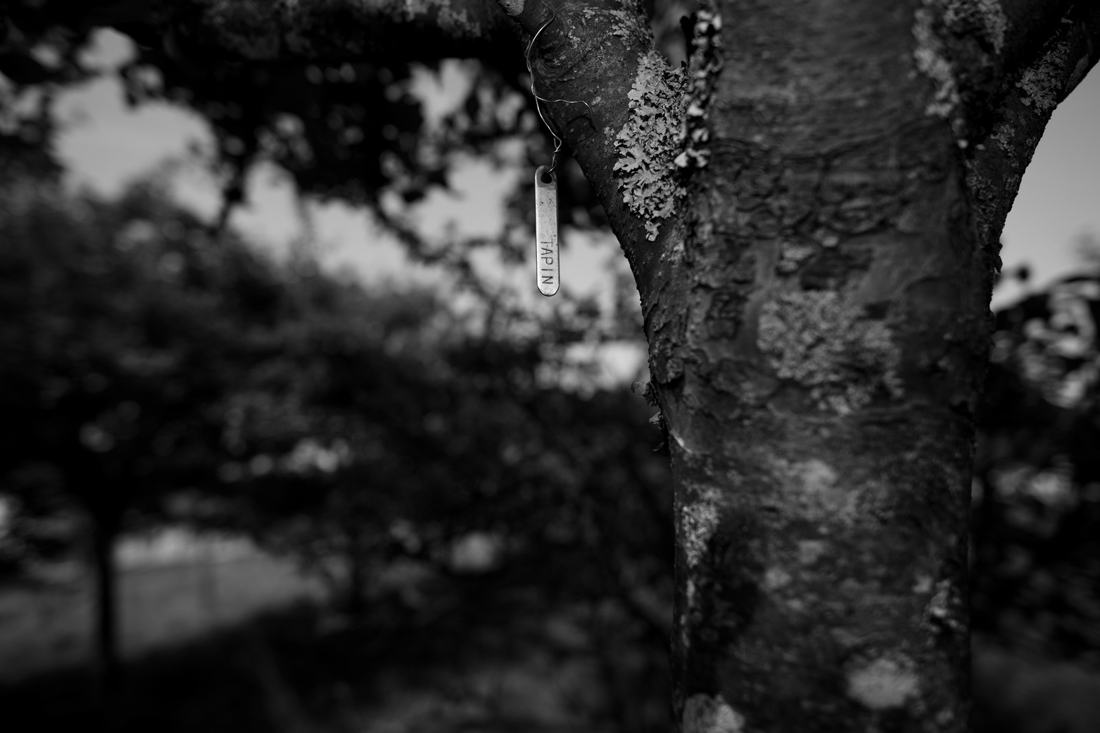 Les vergers du Clos Moulin