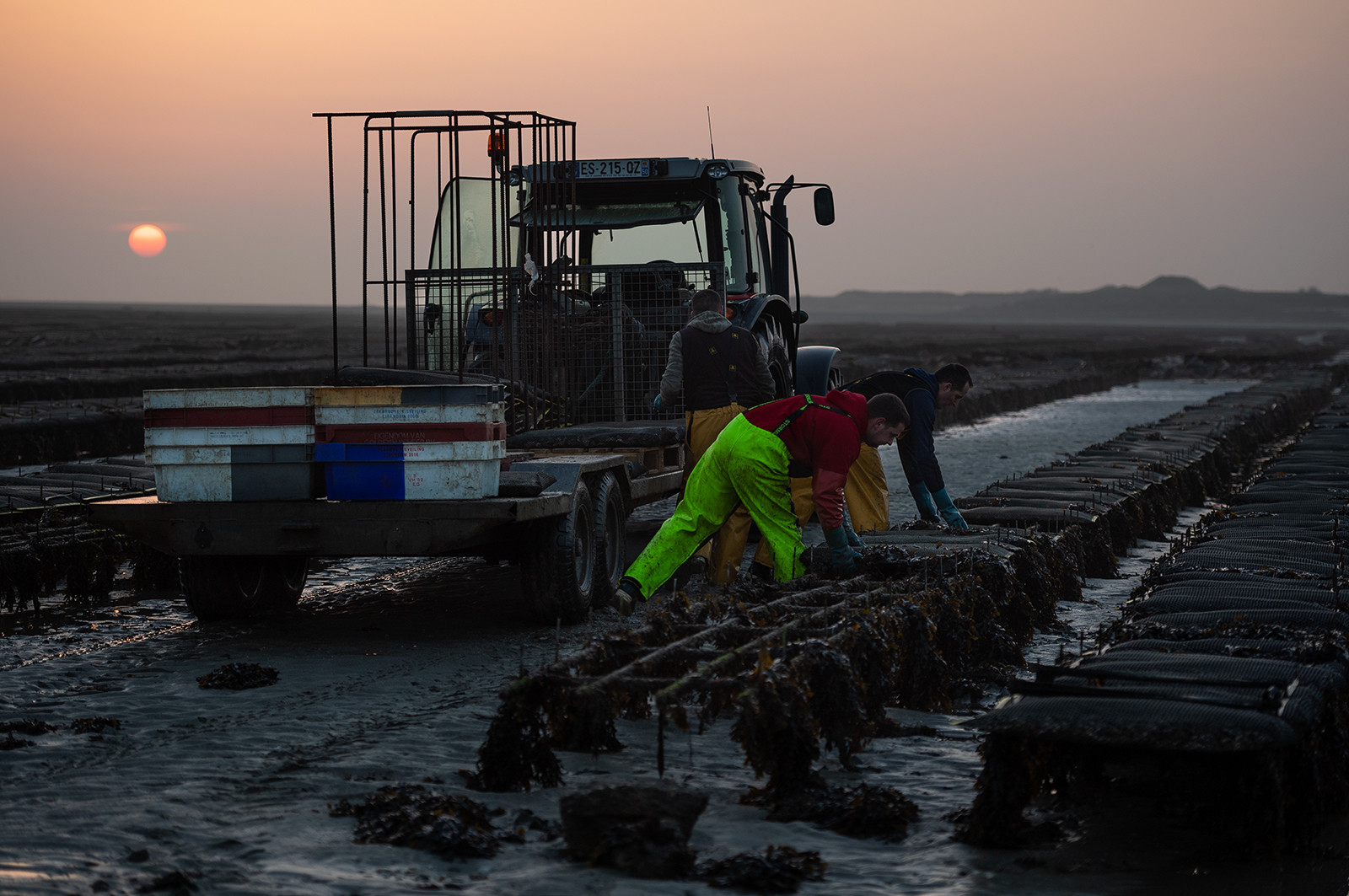 Les parcs à huîtres de Saint-Vaast-la-Hougue (Cotentin)