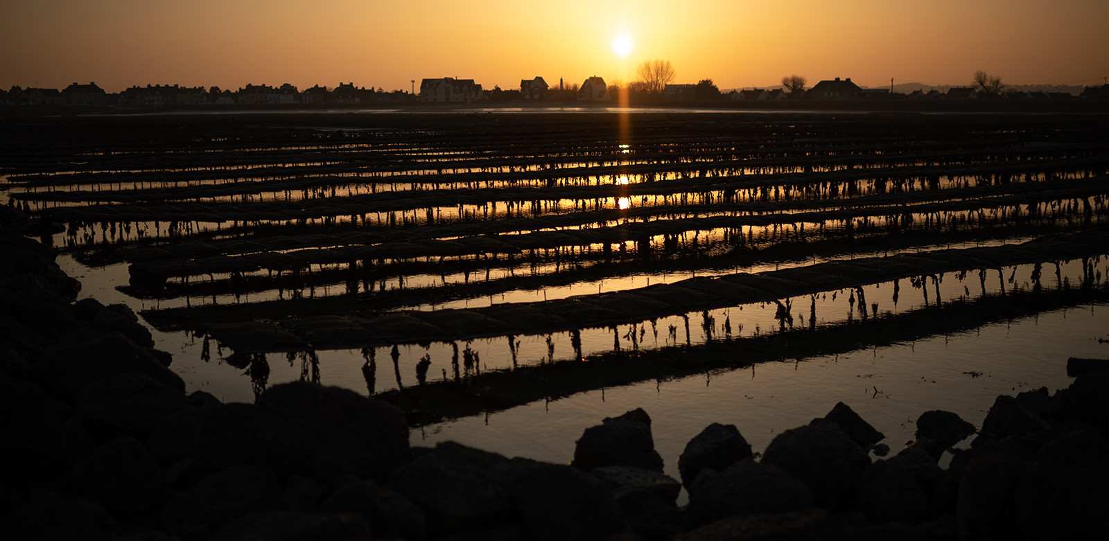 Les parcs à huîtres de Saint-Vaast-la-Hougue (Cotentin)