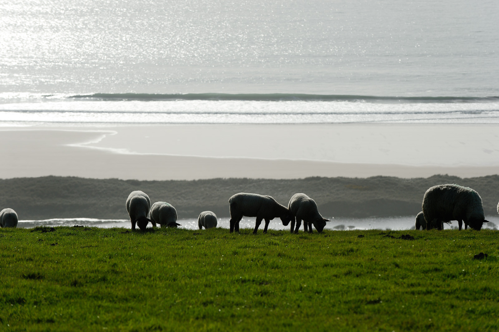 Le village de Vauville fait partie des sites classés de la Hague, Cap Cotentin. Les Pierres Pouquelées, galerie néolithique, sont un témoignage de l'Antiquité.La mare de Vauville est une réserve naturelle. Créée en 1976 c'est l'une des 135 réserves naturelles de France. Géré par le Groupe Ornithologique Normand depuis 1983, c'est un marais d'eau douce protégé de la mer par un étroit cordon dunaire. La mare de Vauville fait 62 ha, il y a plus de 150 espèces d'oiseaux ainsi que de 350 plantes et 16 espèces de batraciens.Un édifice autrefois religieux domine le village. C'est le prieuré de Vauville construit dans les landes, sur le haut d'une colline.Créé par Eric et Nicole Pellerin en 1947, l'exceptionnel jardin botanique du château de Vauville occupe plus de 40 000 m2. Abritant plus de 1000 espèces de l'hémisphère austral, le jardin entoure le château de Vauville dans une ambiance subtropicale tout à fait surprenante.