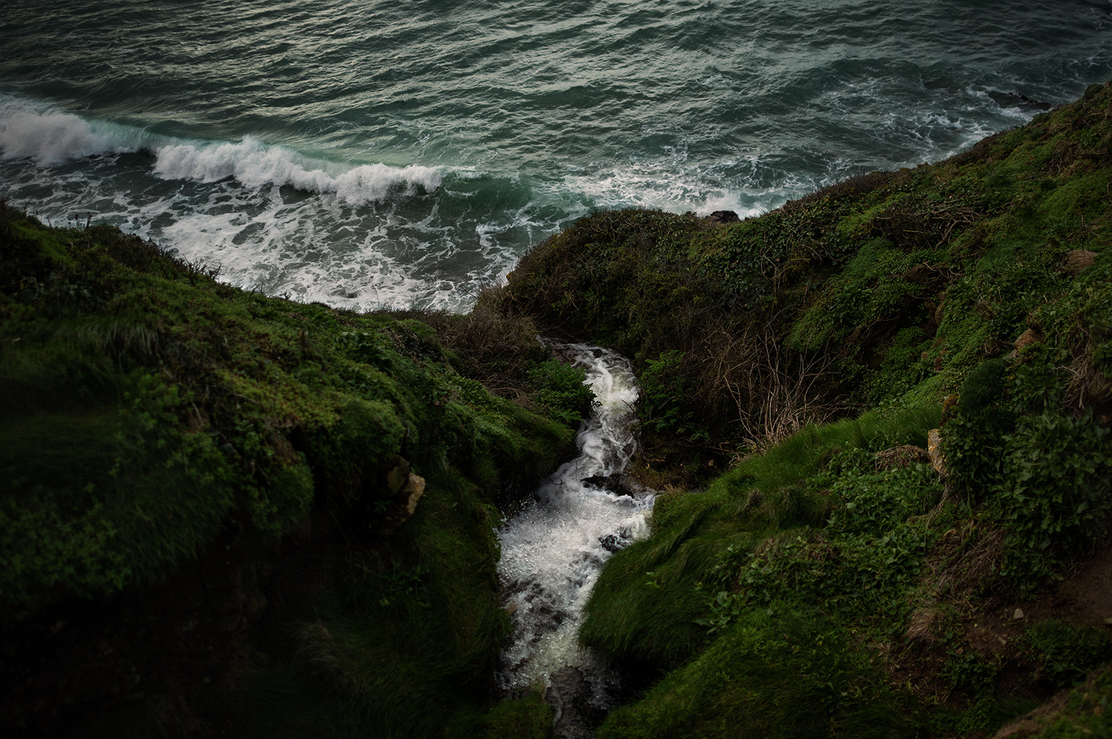 La Presqu'île du Cotentin