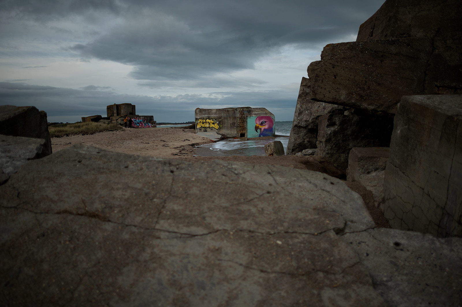 La Presqu'île du Cotentin