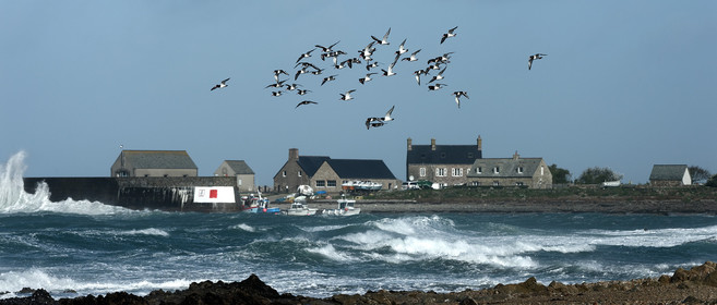 Cap de la Hague (Goury)