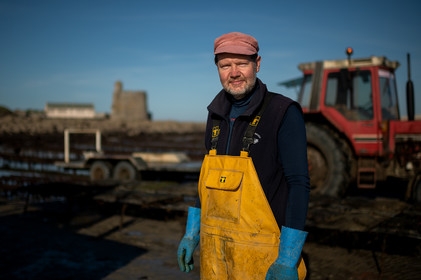 Les parcs à huîtres de Saint-Vaast-la-Hougue (Cotentin)