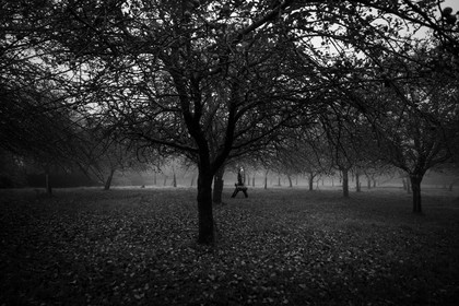 Les vergers du Clos Moulin