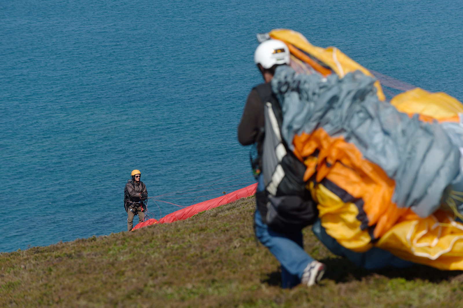 Le village de Vauville fait partie des sites classés de la Hague, Cap Cotentin. Les Pierres Pouquelées, galerie néolithique, sont un témoignage de l'Antiquité.La mare de Vauville est une réserve naturelle. Créée en 1976 c'est l'une des 135 réserves naturelles de France. Géré par le Groupe Ornithologique Normand depuis 1983, c'est un marais d'eau douce protégé de la mer par un étroit cordon dunaire. La mare de Vauville fait 62 ha, il y a plus de 150 espèces d'oiseaux ainsi que de 350 plantes et 16 espèces de batraciens.Un édifice autrefois religieux domine le village. C'est le prieuré de Vauville construit dans les landes, sur le haut d'une colline.Créé par Eric et Nicole Pellerin en 1947, l'exceptionnel jardin botanique du château de Vauville occupe plus de 40 000 m2. Abritant plus de 1000 espèces de l'hémisphère austral, le jardin entoure le château de Vauville dans une ambiance subtropicale tout à fait surprenante.